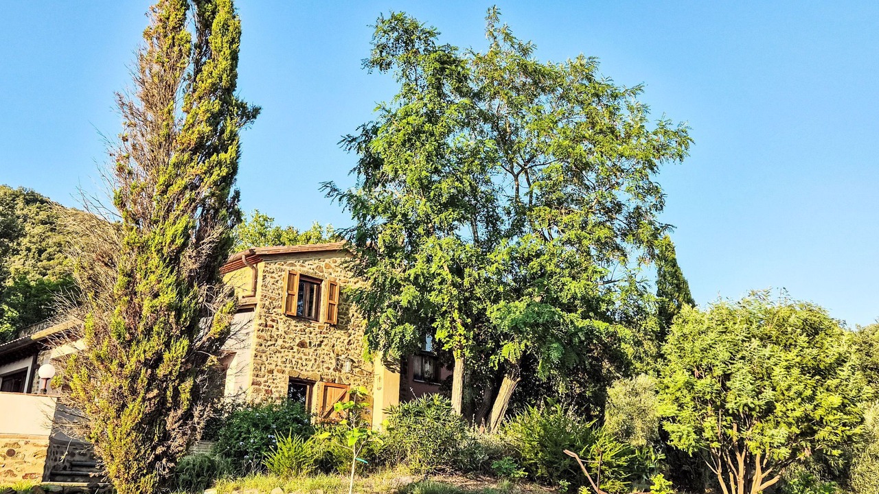 Photo of Others in Castiglione della Pescaia