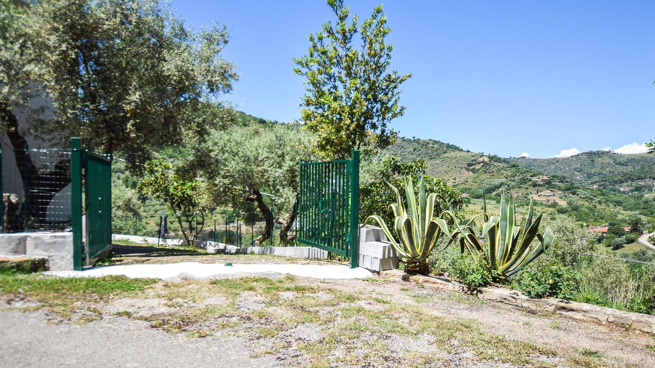 Photo of Others in Perdifumo