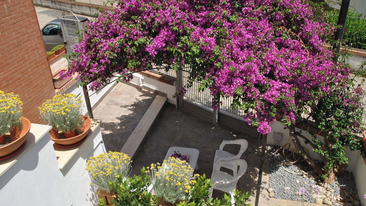 Photo of Others in Sperlonga