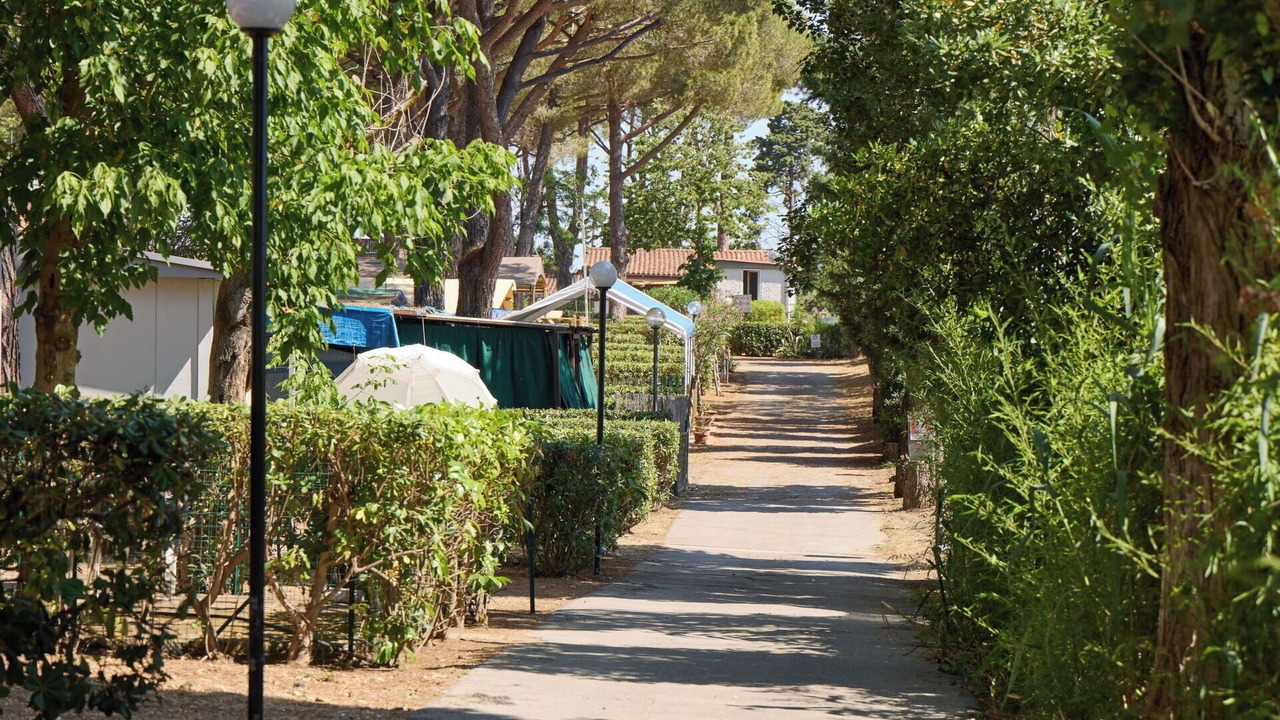 Photo of Others in Capalbio