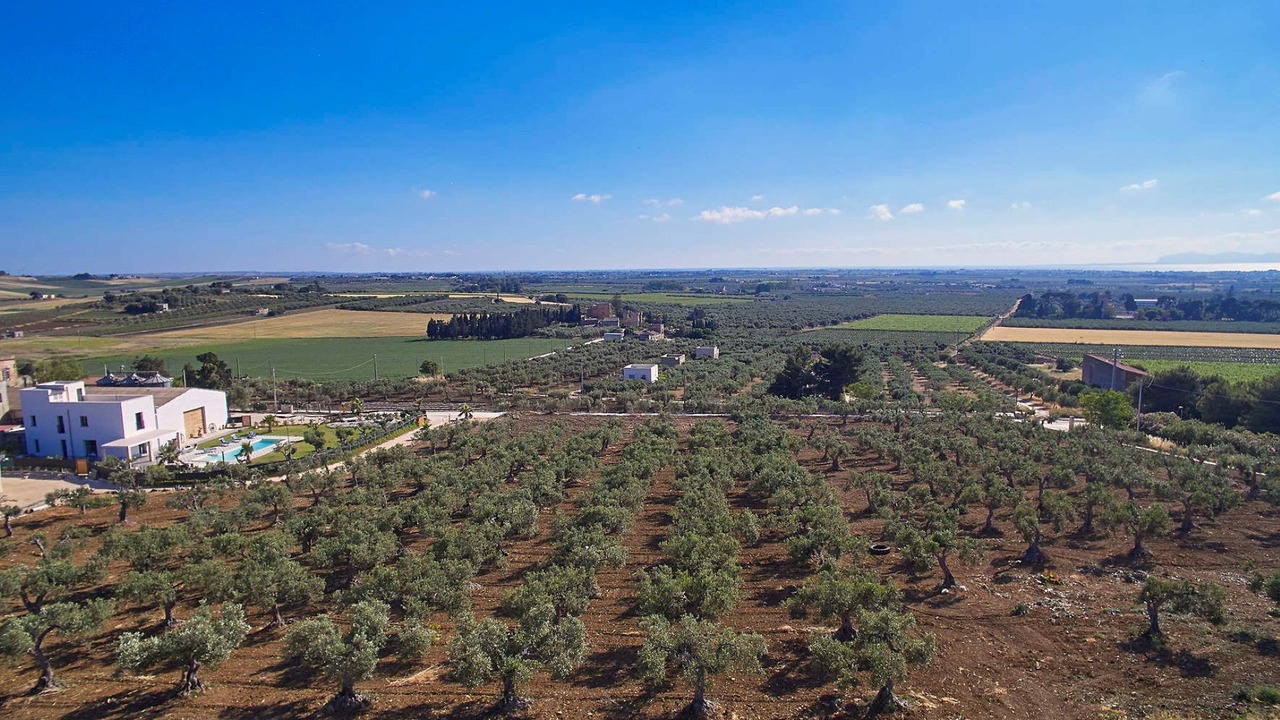 Photo of Outdoor in Paceco
