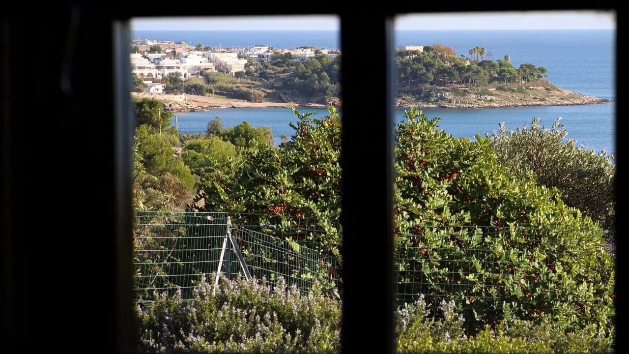 Photo of Others in Marina San Gregorio