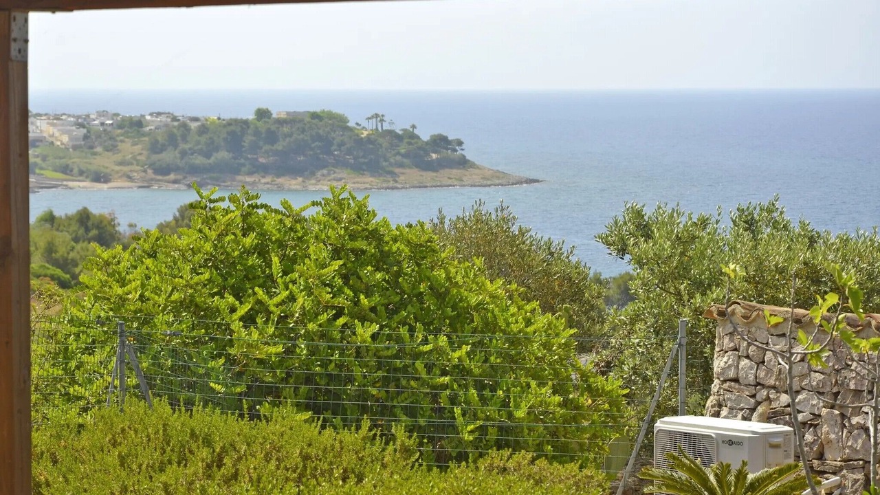 Photo of Others in Marina San Gregorio
