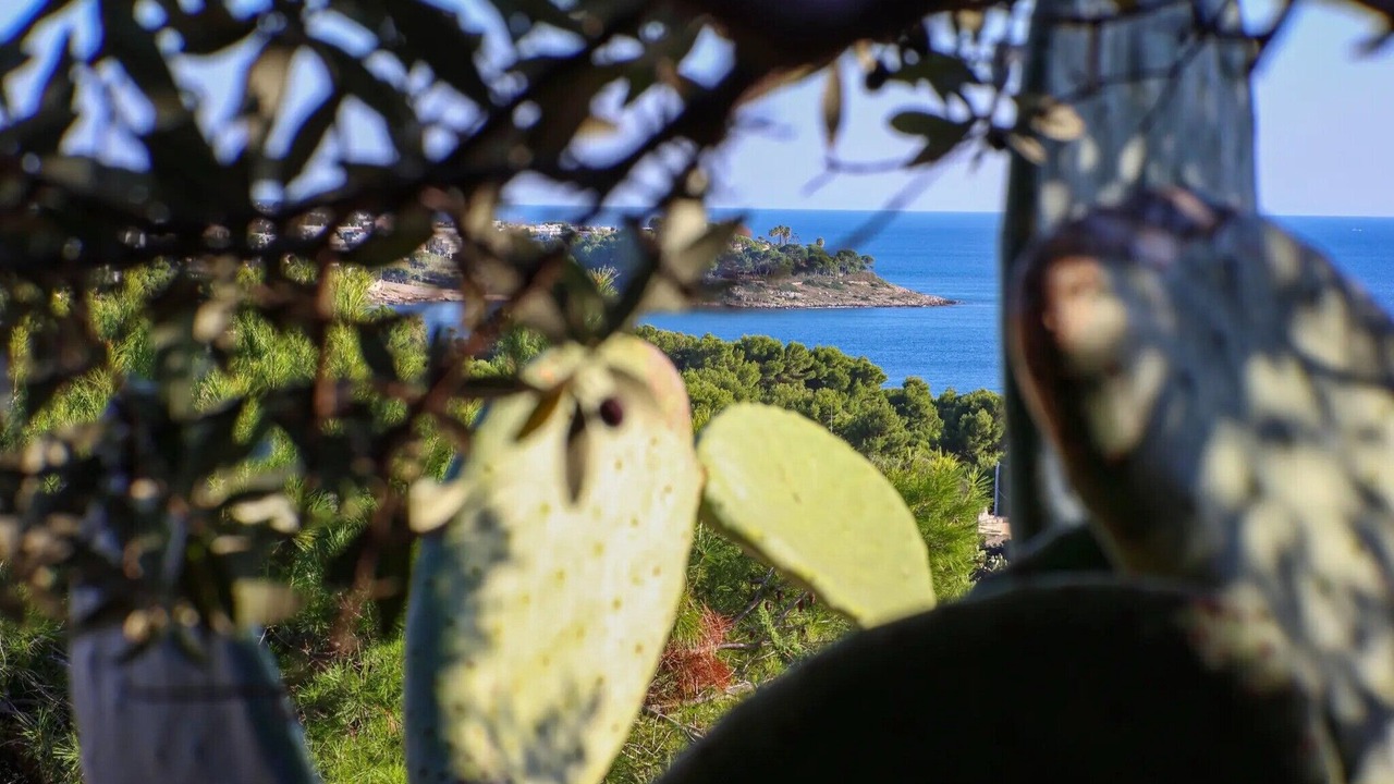 Photo of Others in Marina San Gregorio