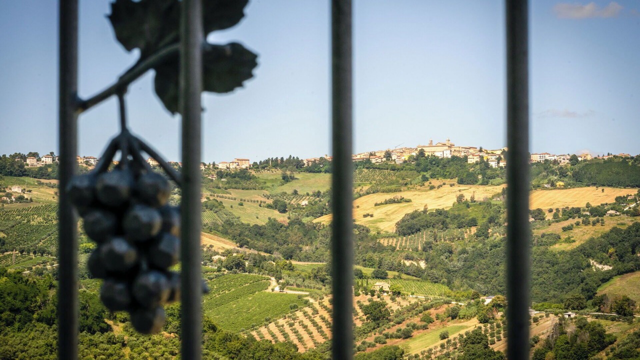 Photo of Outdoor in Cupramontana