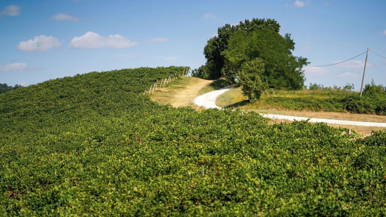 Photo of Outdoor in Cupramontana