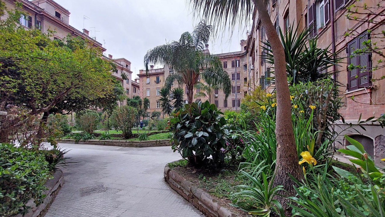 Photo of Outdoor in Testaccio