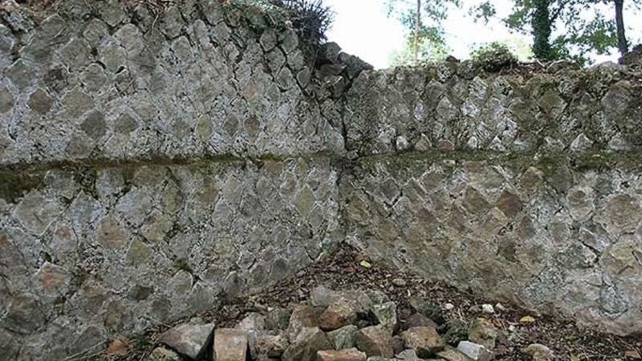 Photo of Others in Montorsaio