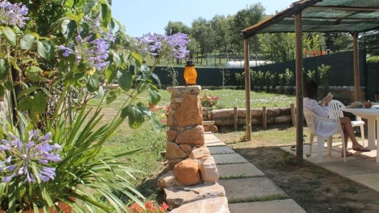 Photo of Others in Montorsaio