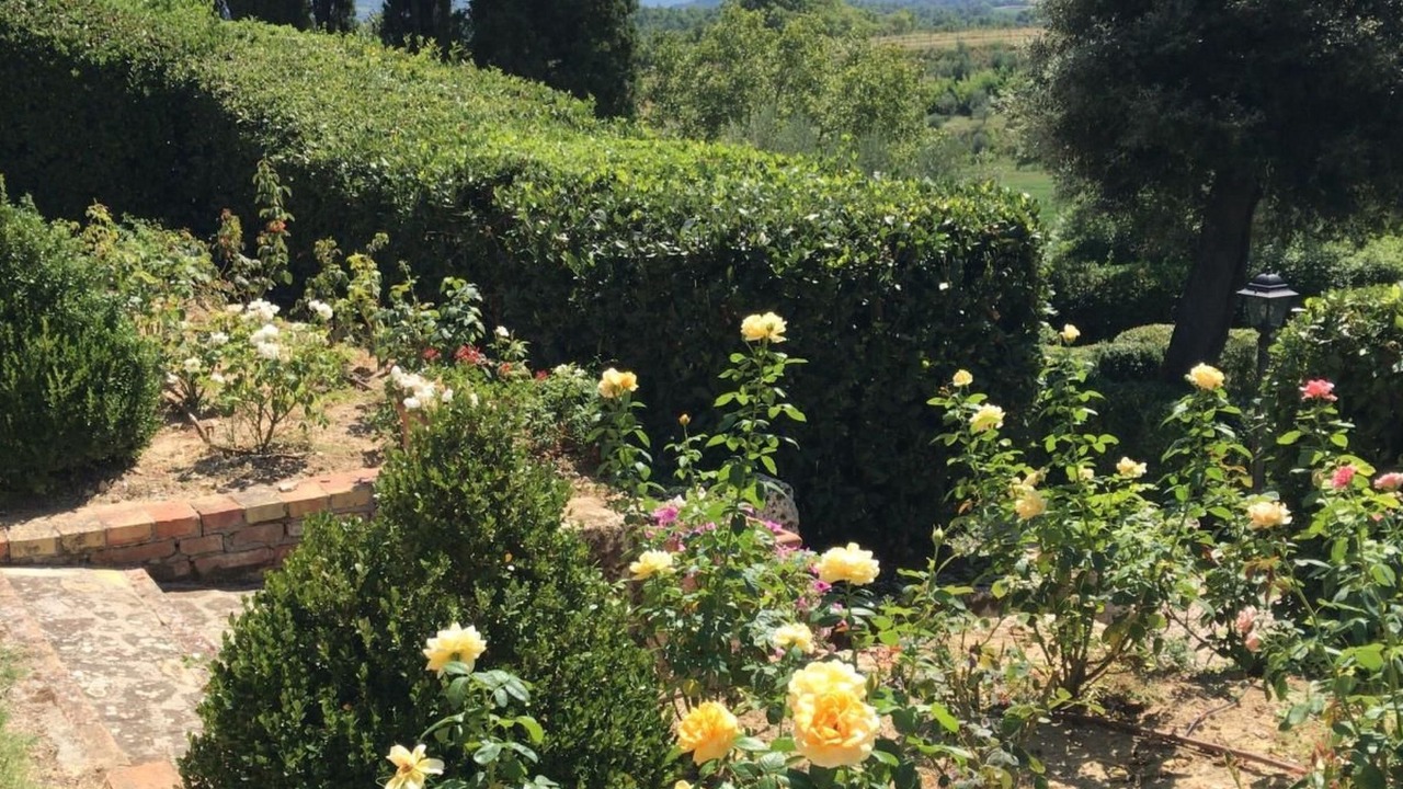 Photo of Others in Chiusi