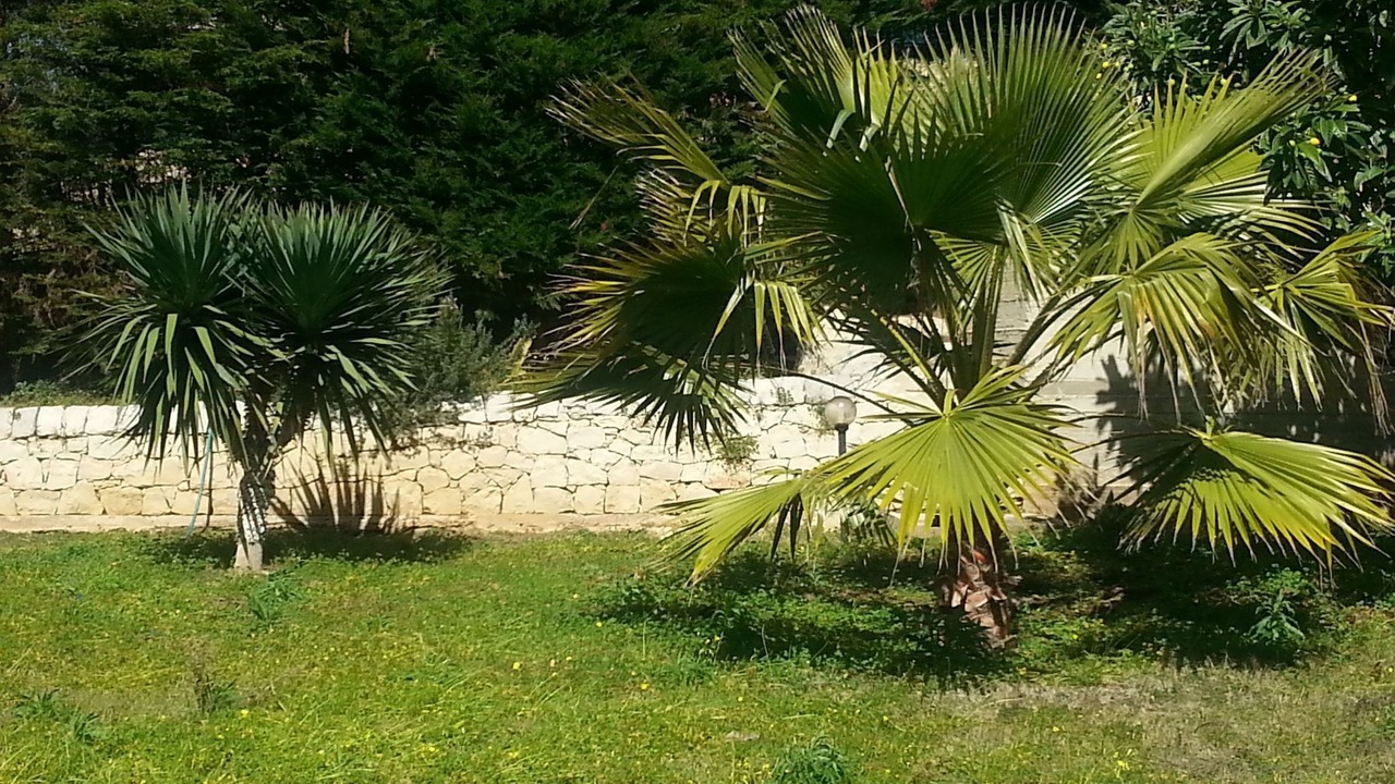Photo of Others in Cava dʼAliga