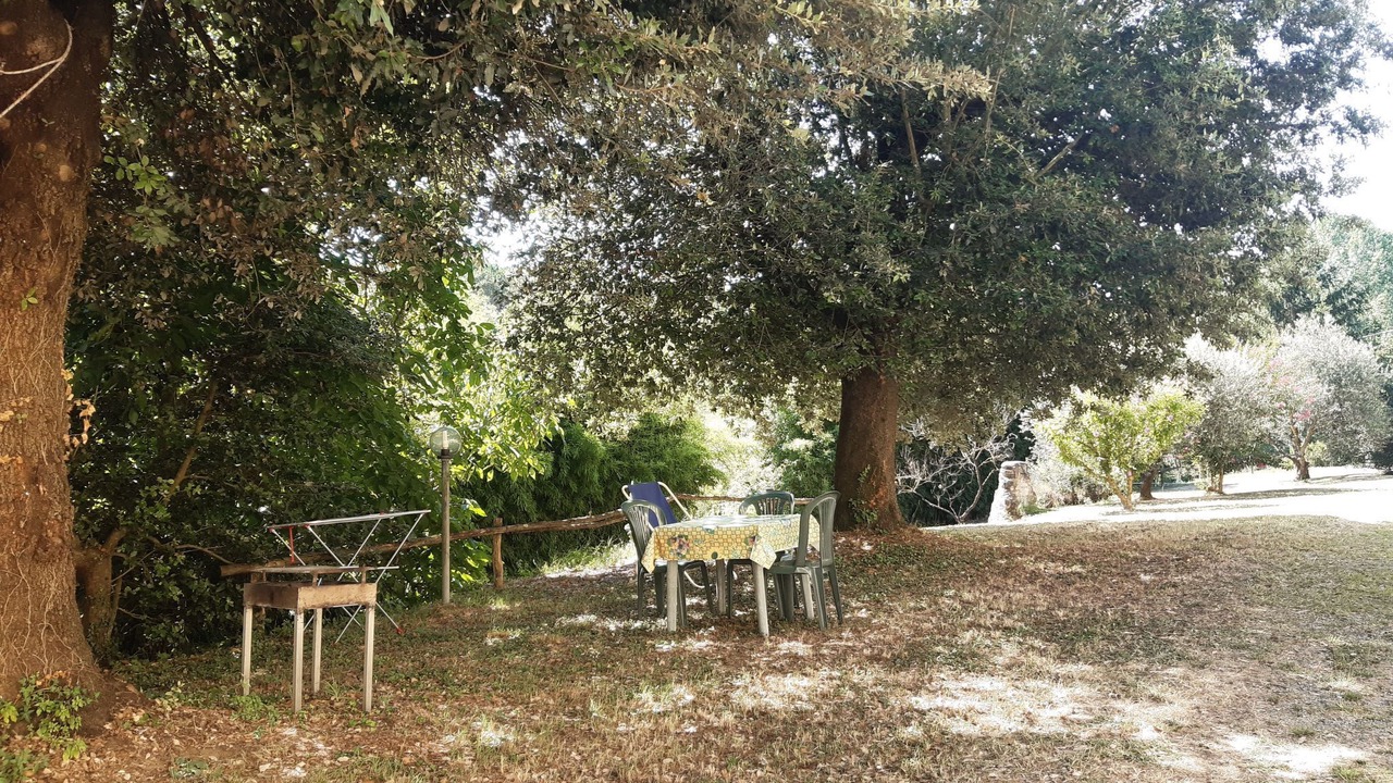 Photo of Others in Fauglia