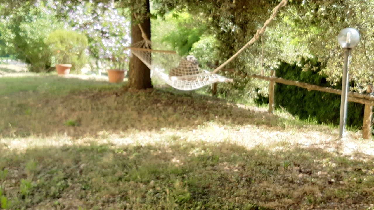 Photo of Outdoor in Fauglia