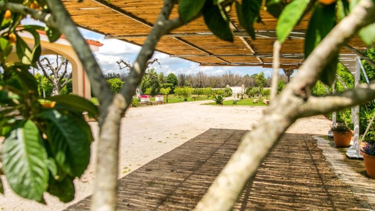 Photo of Outdoor in Leverano