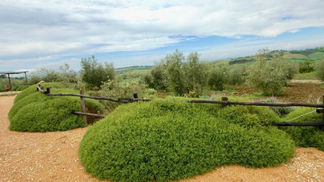 Photo of Others in Manciano
