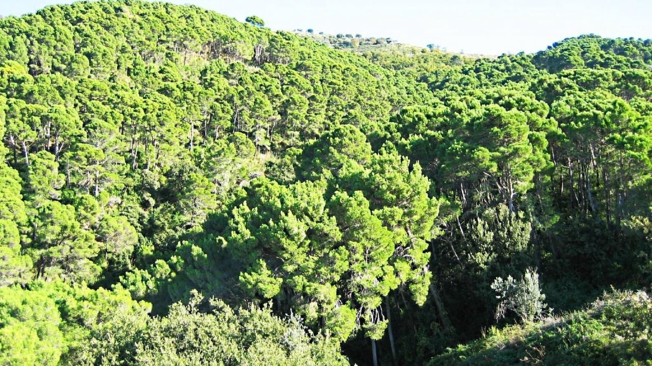 Photo of Others in Ponte San Nicola
