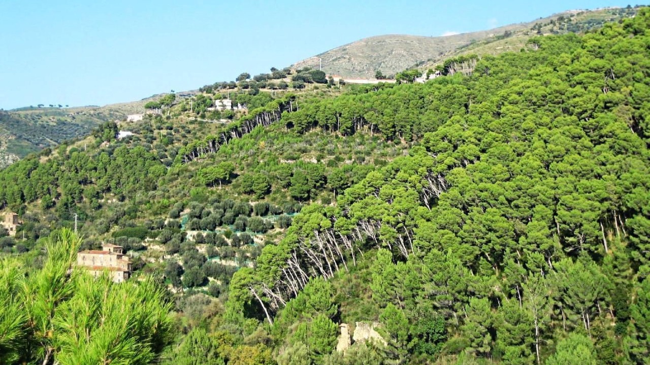 Photo of Others in Ponte San Nicola