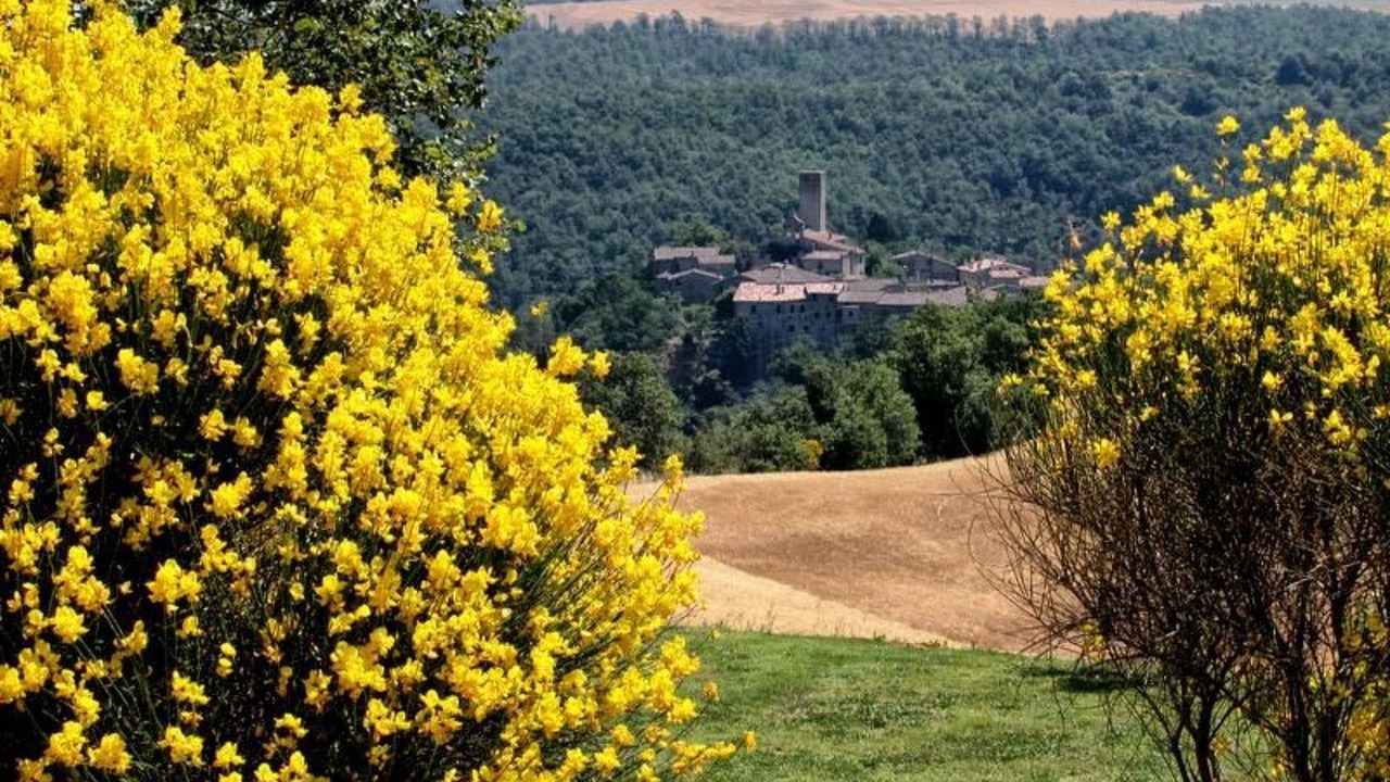 Photo of Others in San Venanzo
