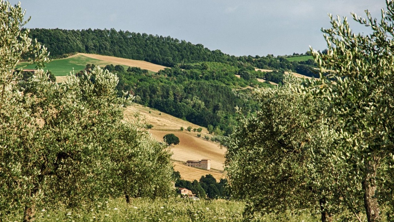 Photo of Others in San Venanzo