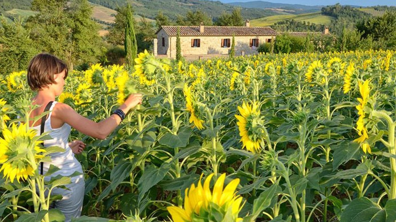 Photo of Others in San Venanzo