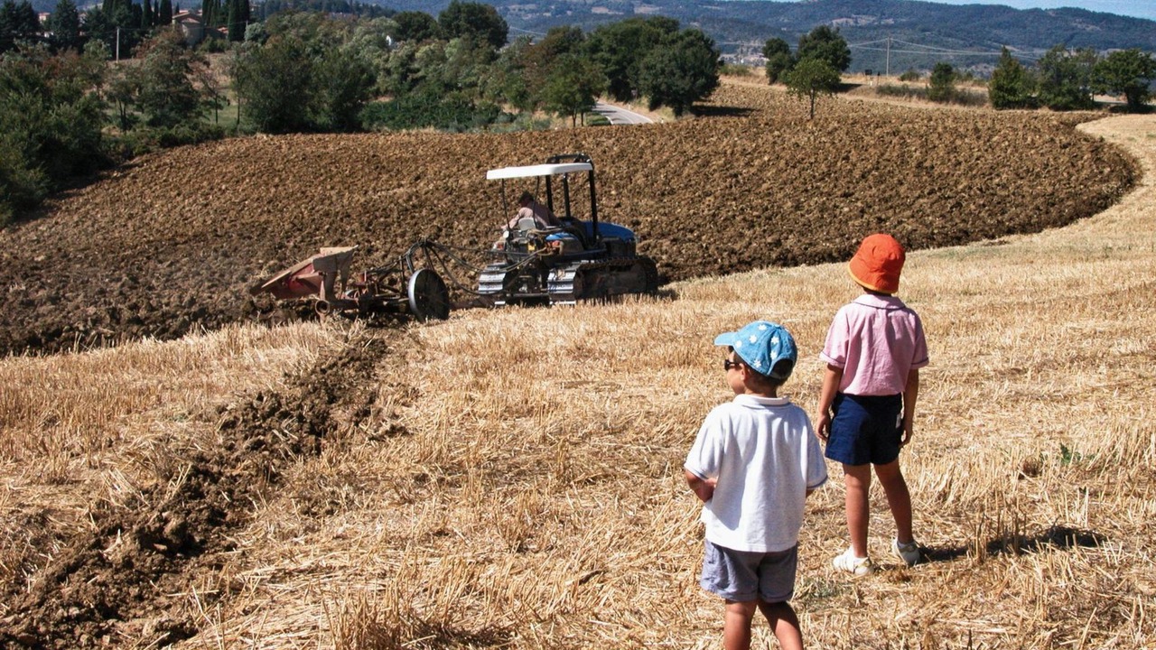 Photo of Others in San Venanzo