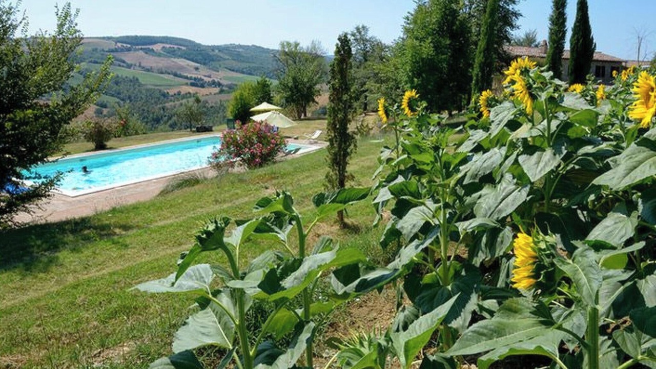 Photo of Others in San Venanzo