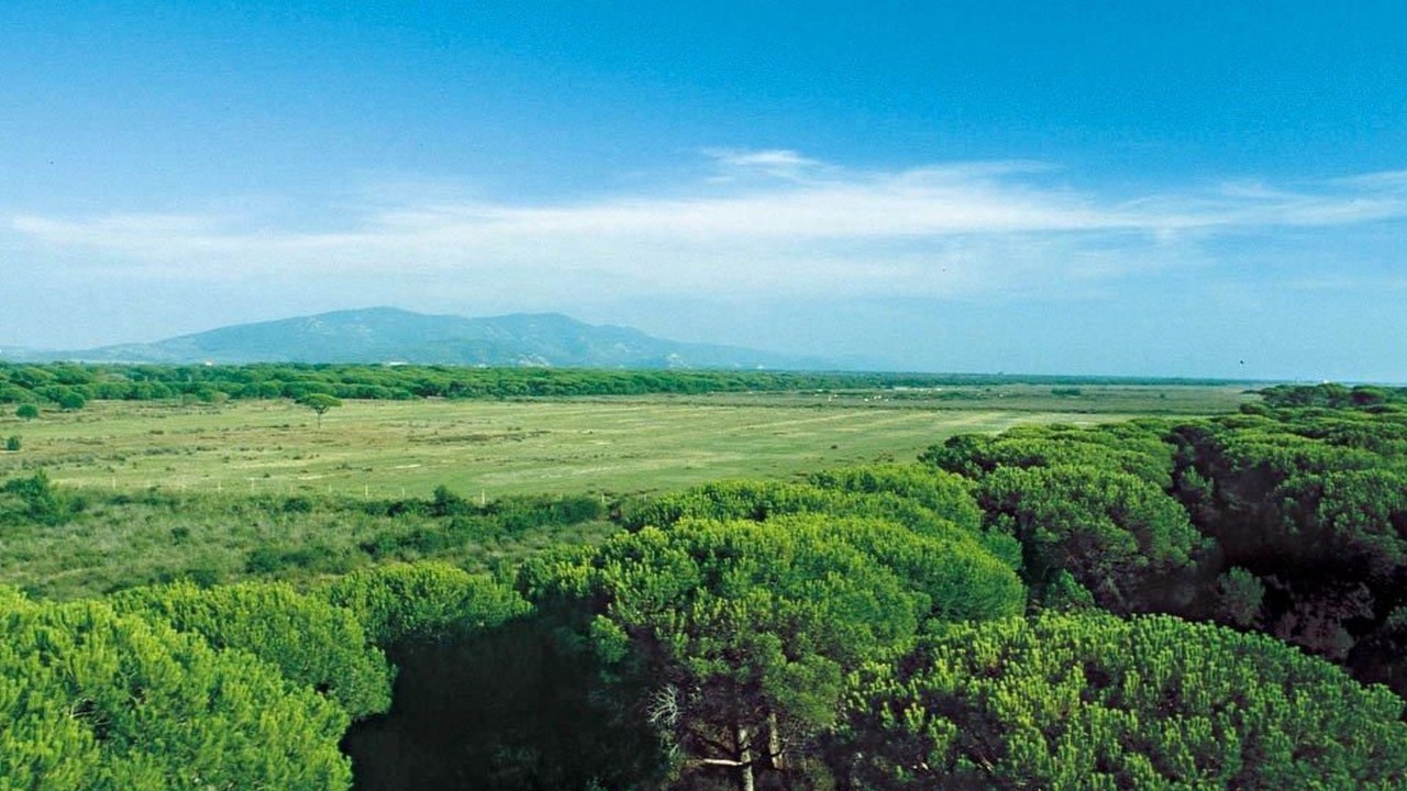 Photo of Others in Principina a Mare