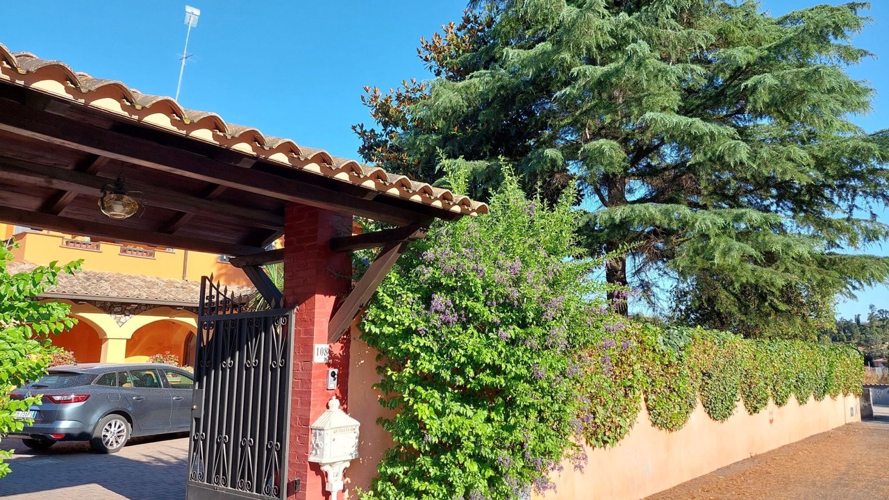 Photo of Outdoor in Ara Nova