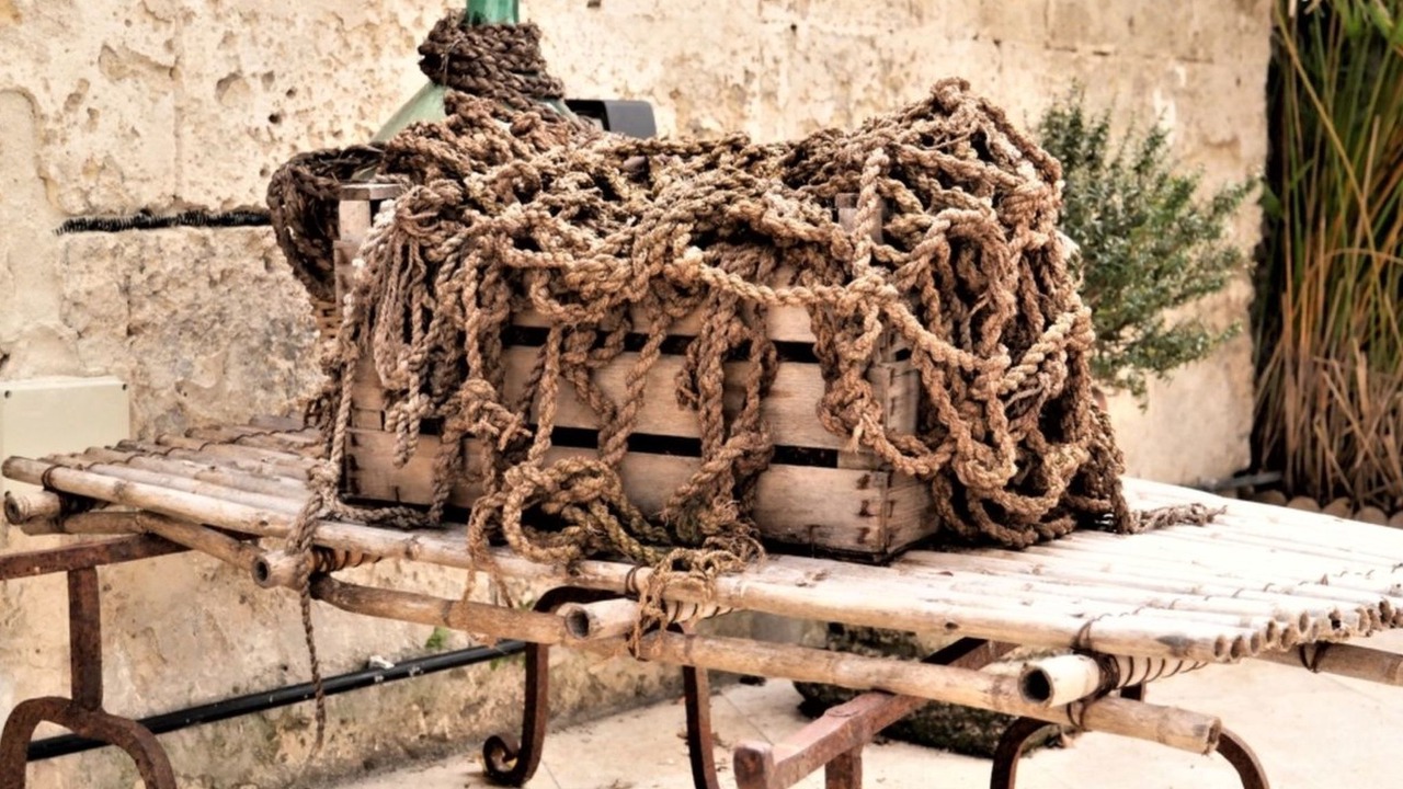 Photo of Others in Manduria