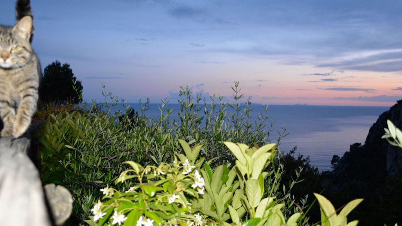 Photo of Others in Sperlonga
