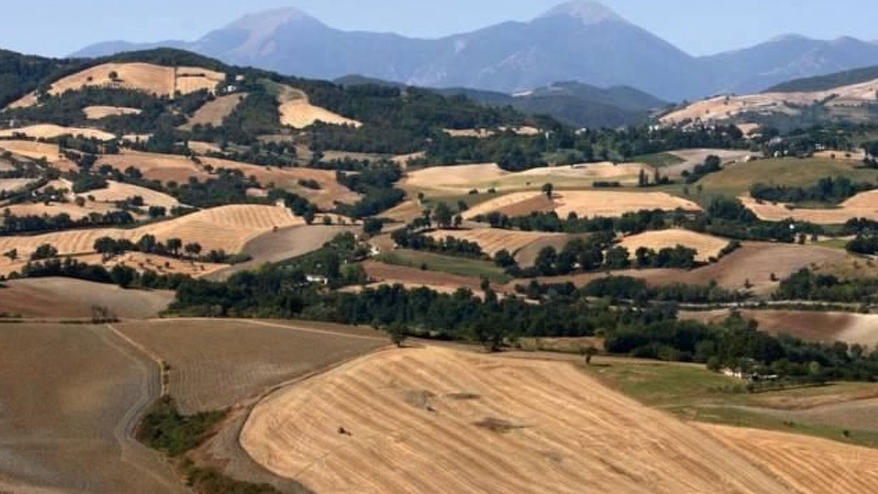 Photo of Others in Urbino