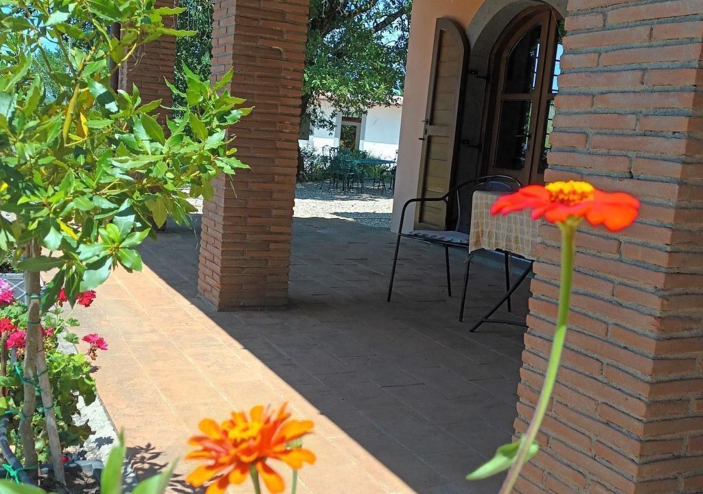 Photo of Others in Bagnoregio