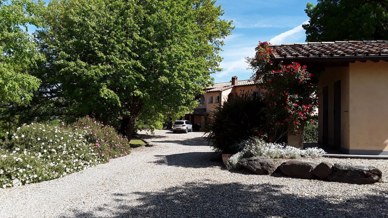 Photo of Others in Bagnoregio