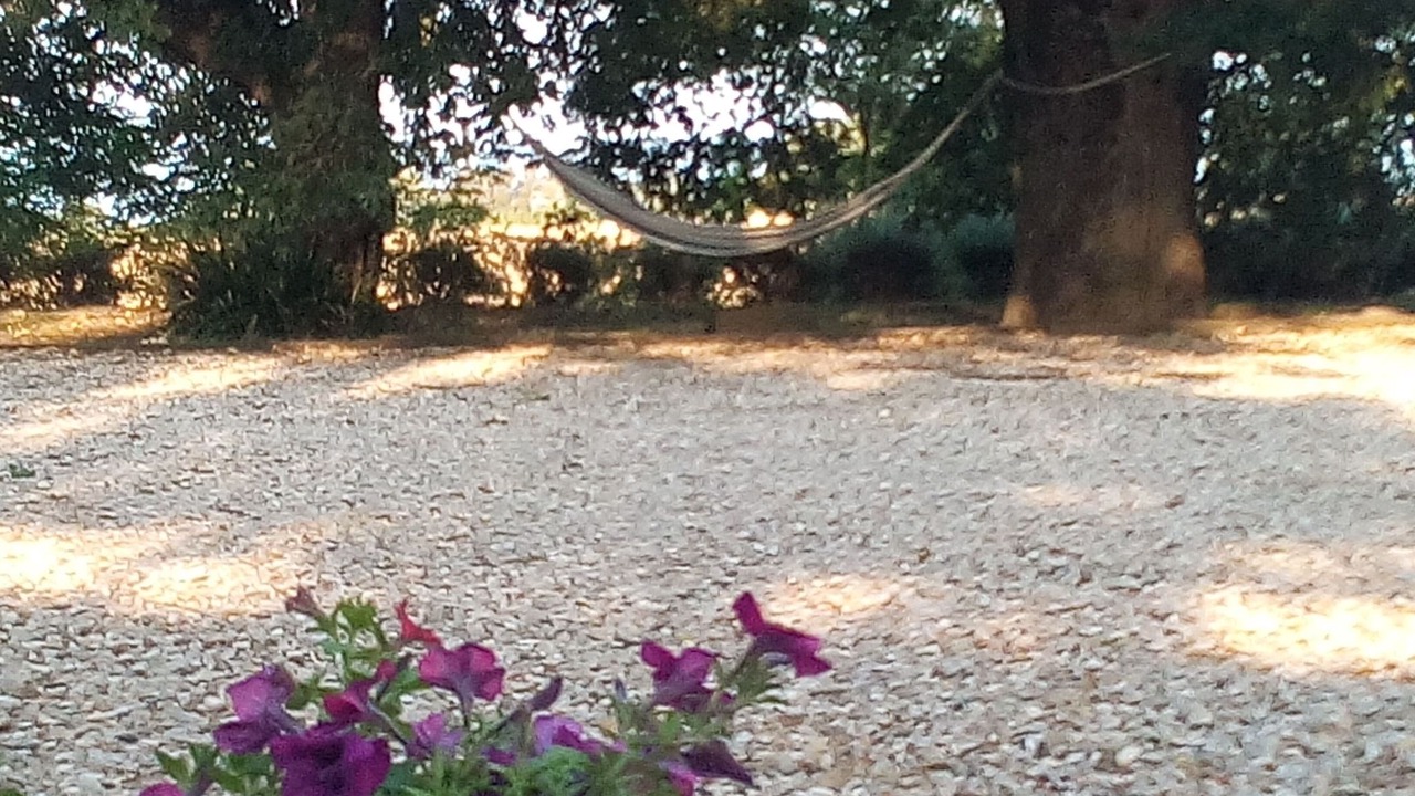 Photo of Others in Bagnoregio