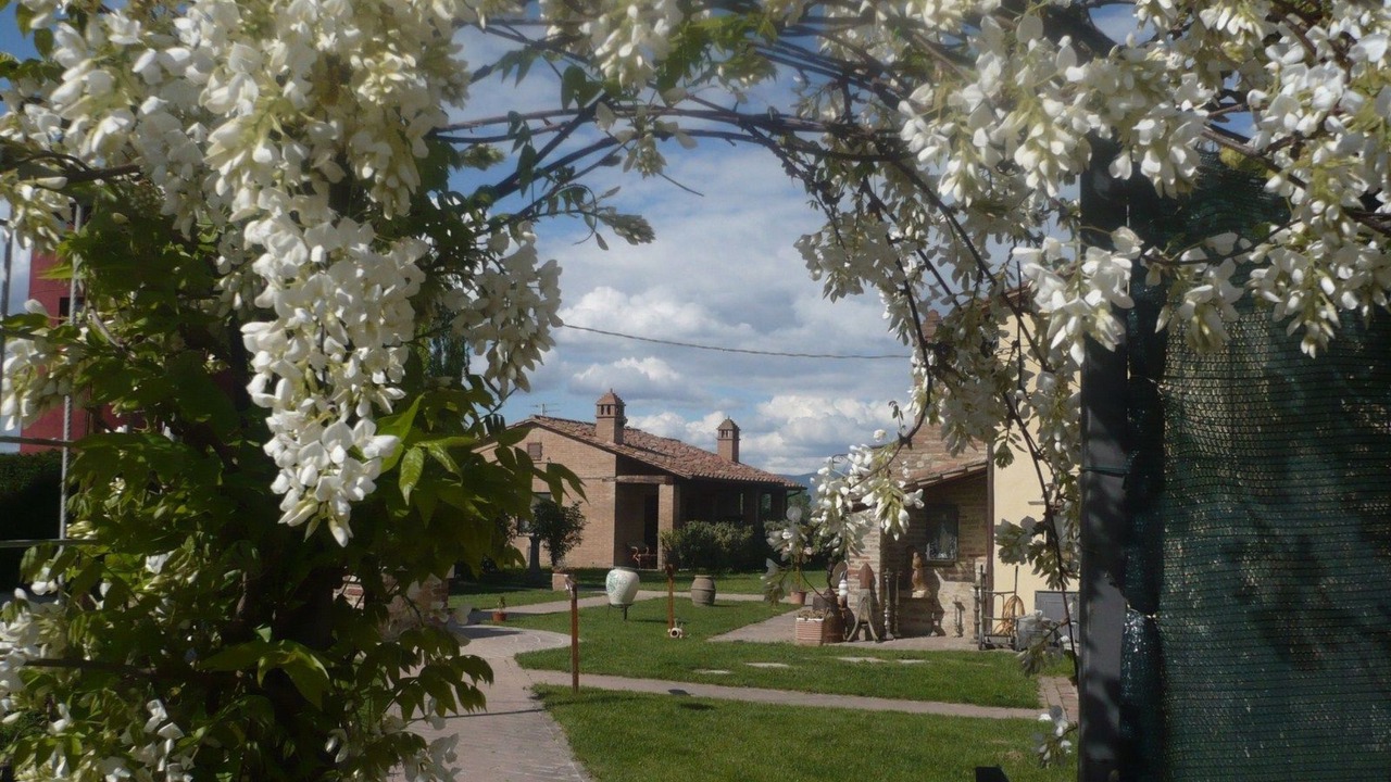 Photo of Others in Castiglione del Lago
