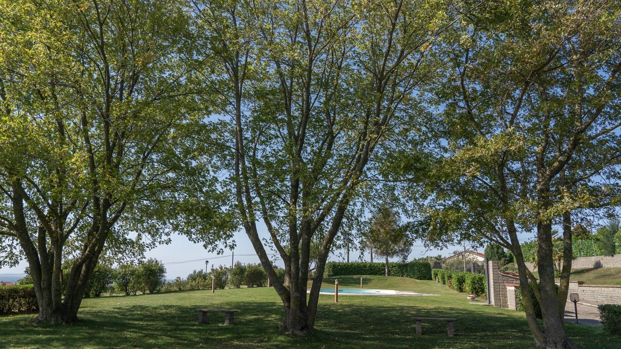 Photo of Outdoor in Montefiascone