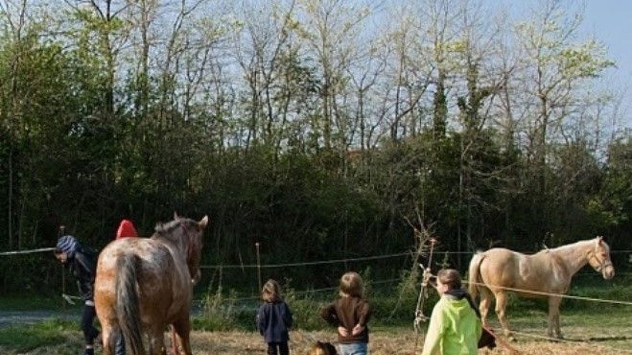 Photo of Others in Castellina Marittima