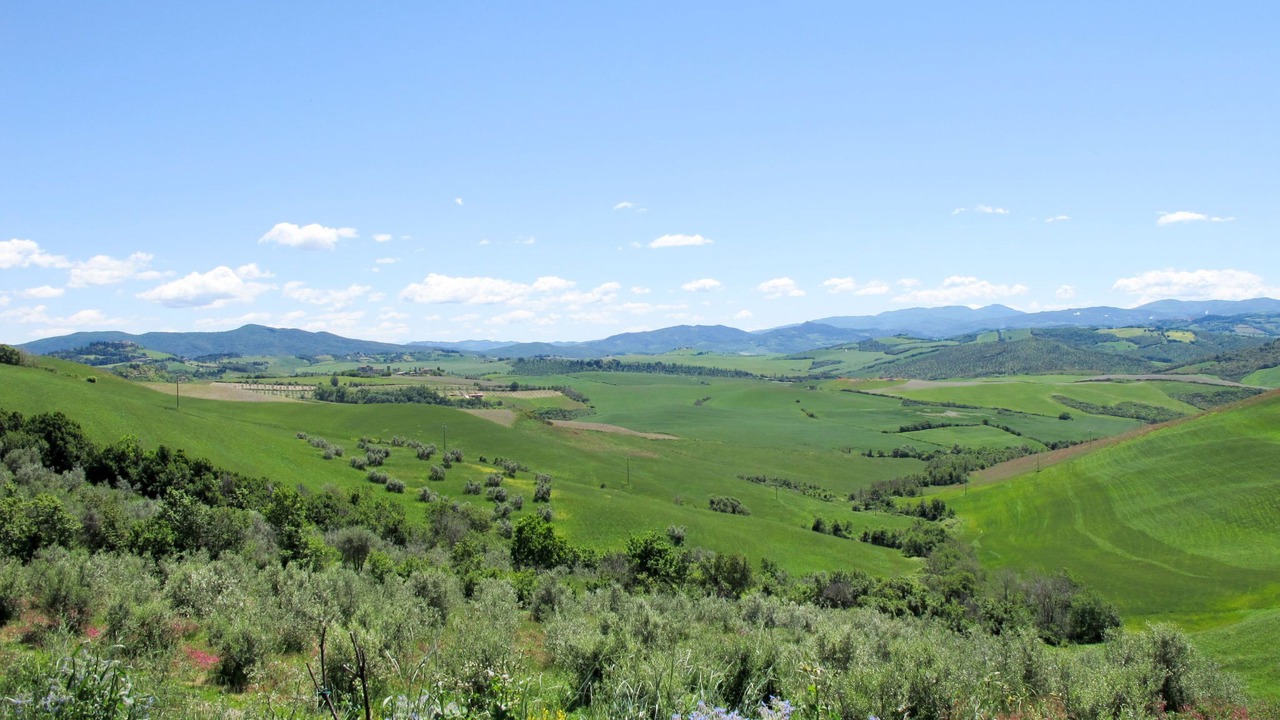 Photo of Others in Saline di Volterra