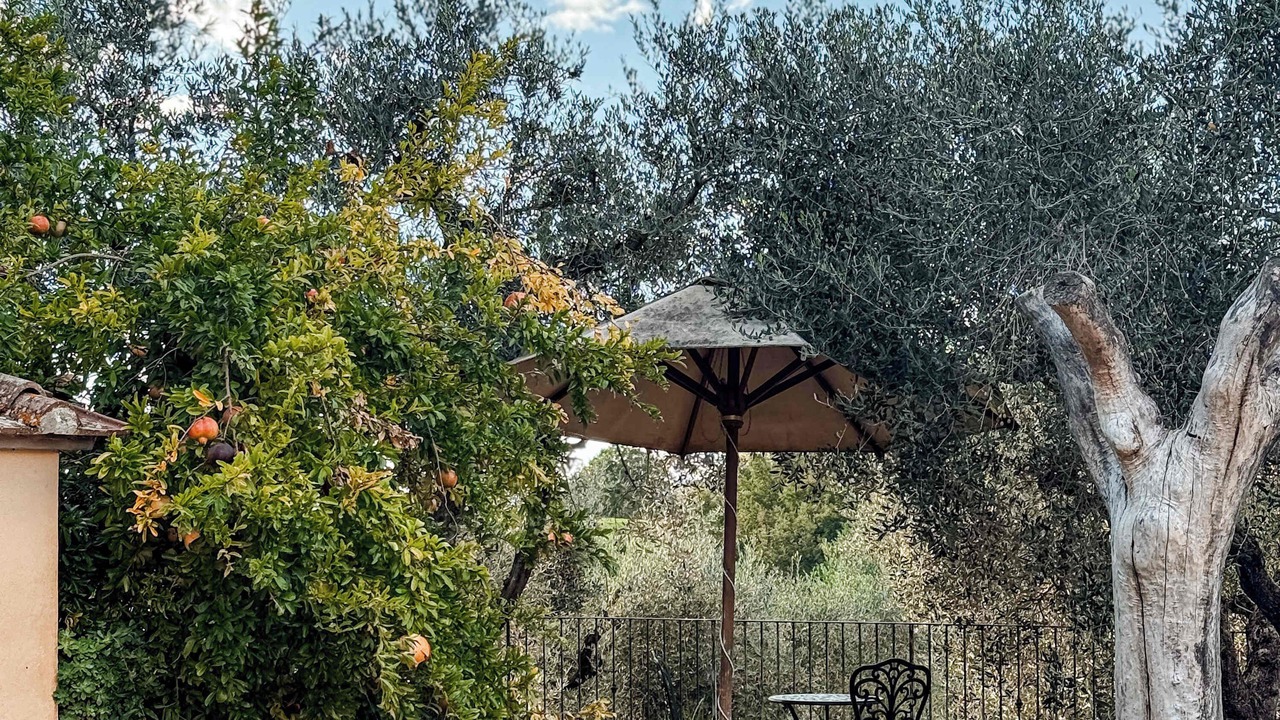 Photo of Others in Poggiarello