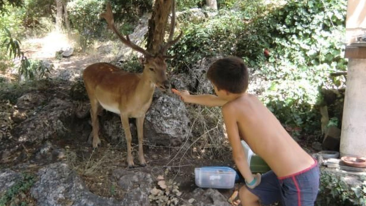 Photo of Others in Ansedonia