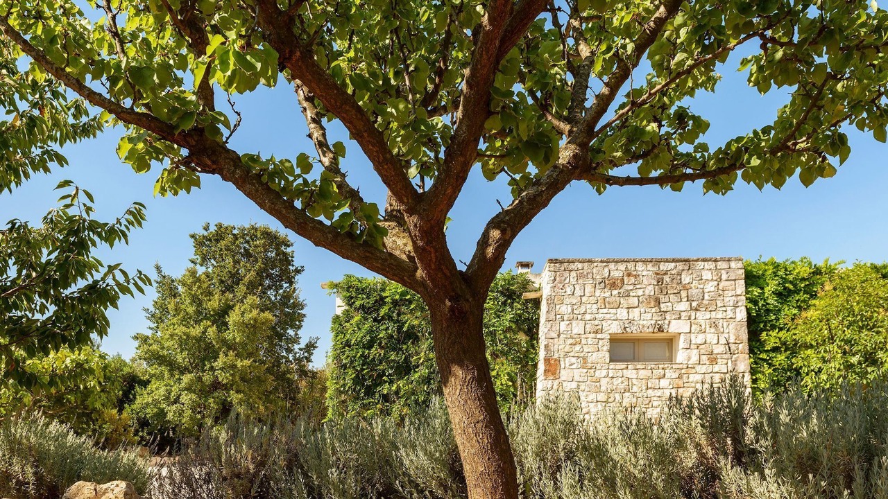 Photo of Others in Ostuni