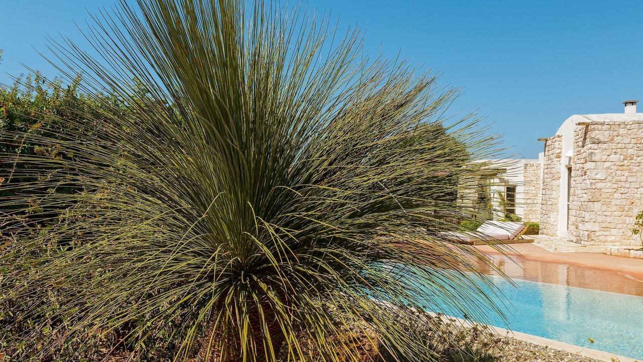 Photo of Outdoor in Ostuni