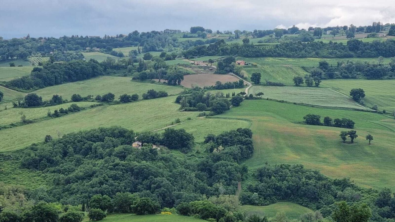 Photo of Outdoor in SantʼIppolito