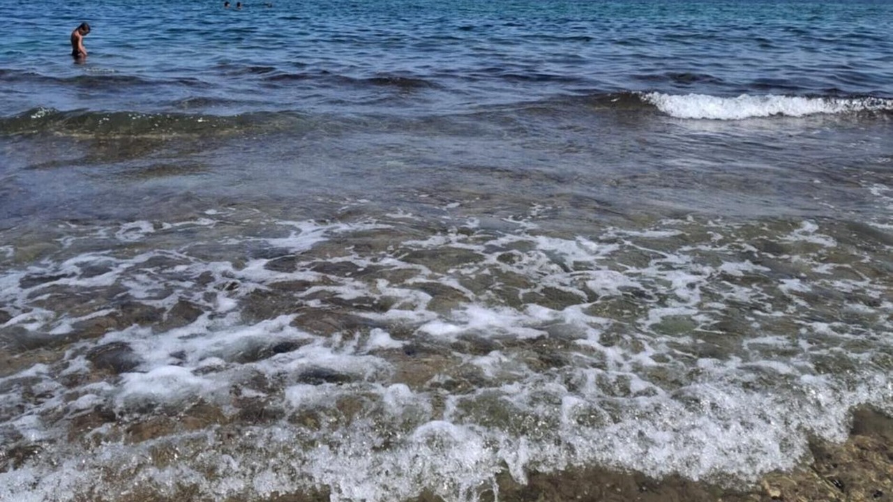 Photo of Others in Mola di Bari