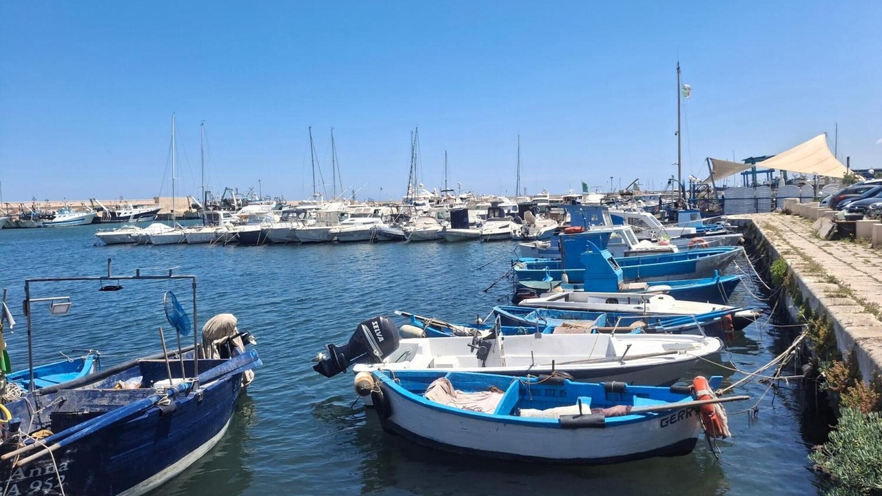 Photo of Others in Mola di Bari