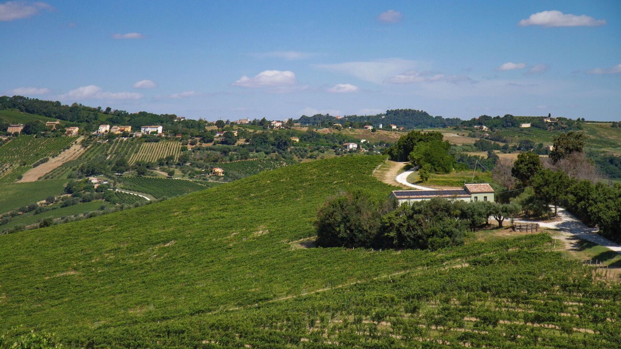 Photo of Outdoor in Cupramontana