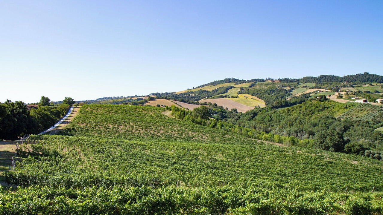 Photo of Outdoor in Cupramontana