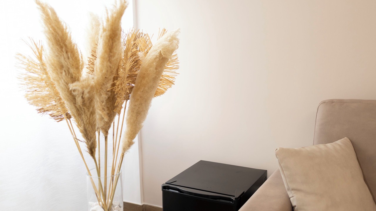 Photo of Livingroom in Ostiense