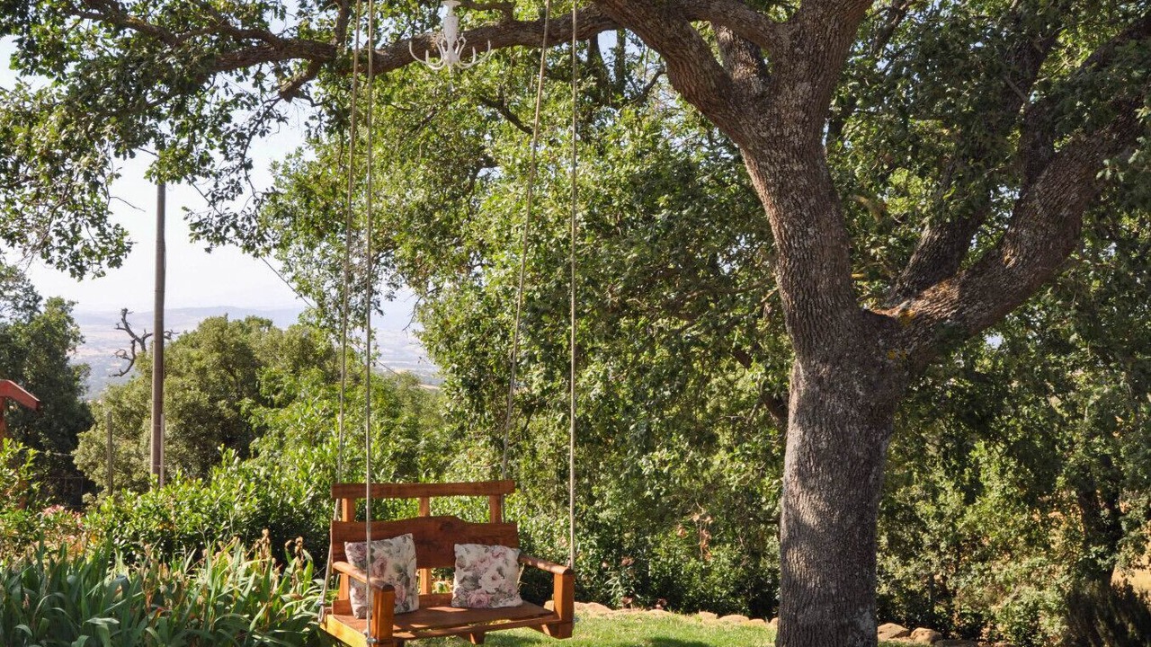 Photo of Outdoor in Scansano