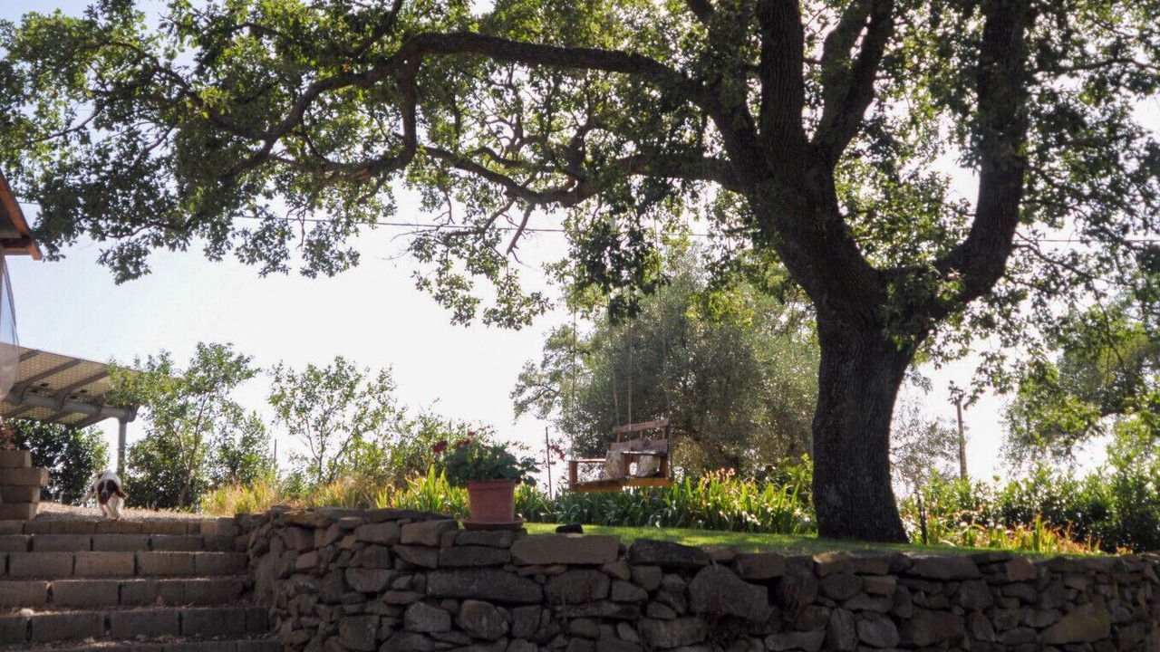 Photo of Outdoor in Scansano